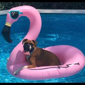 Meet your Posher, Todd